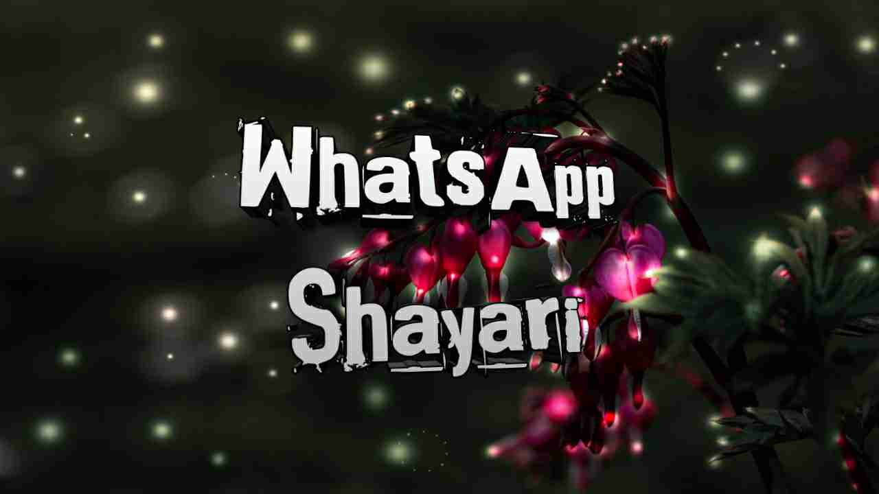 Whatsapp Shayari In Hindi 2022 ! टॉप 50+ व्हाट्सअप शायरी हिंदी में