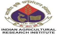 IARI Recruitment 2022, Indian Agricultural Research Institute Jobs